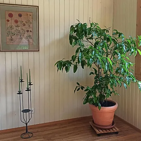 Bahnhof Durlesbach Appartamento Bad Waldsee