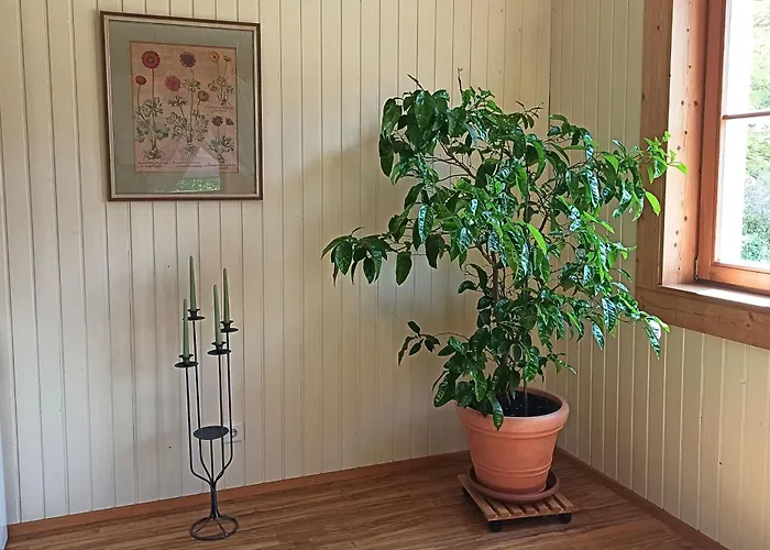 Bahnhof Durlesbach Appartement Bad Waldsee